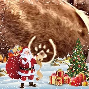 Meet your Posher, Toni